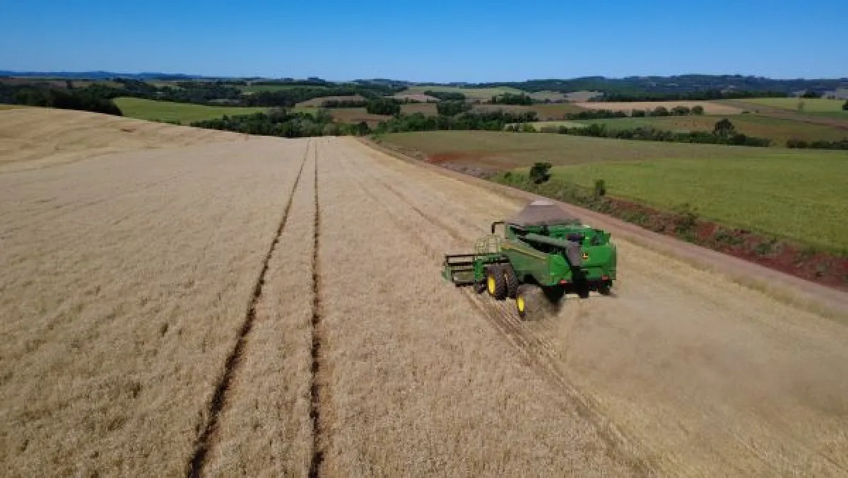 Trigo inicia colheita no oeste do RS em 814 mil hectares