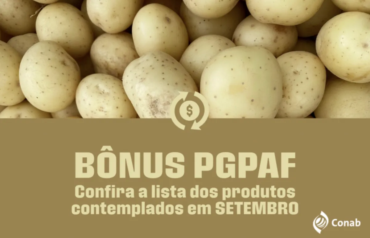 Batata e inhame entram na lista de bônus do PGPAF