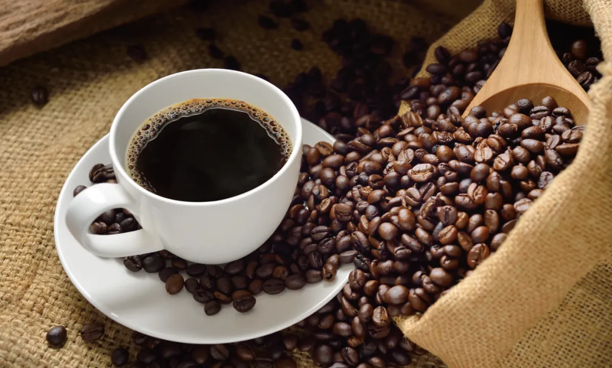 Concurso Café Qualidade Paraná tem inscrições abertas até dia 30