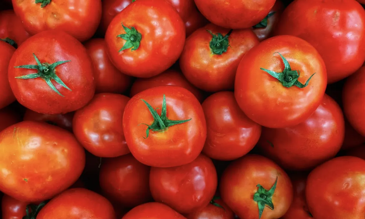 Preço do tomate dispara nos atacados com oferta enxuta