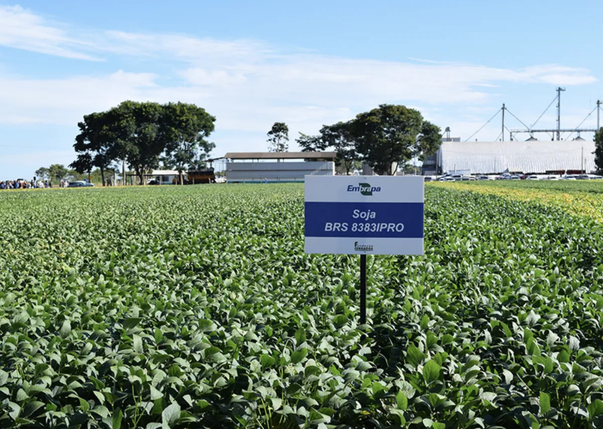 Embrapa indica manejo conservacionista contra o El Niño
