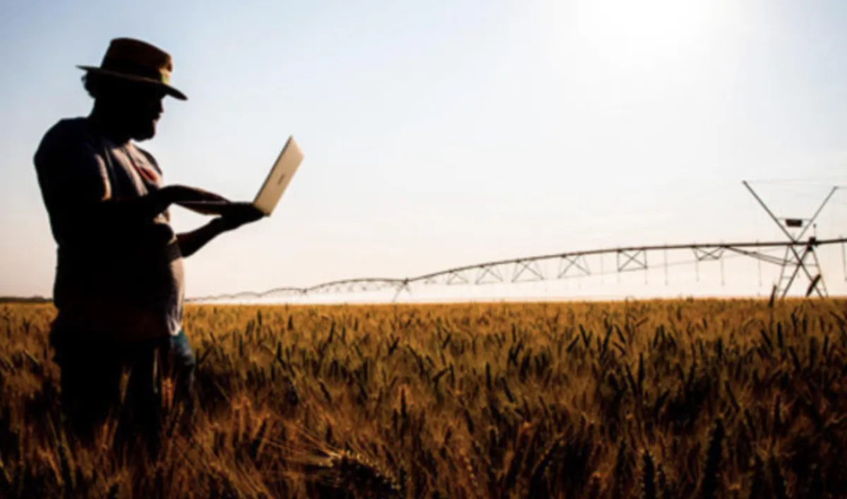 Crédito rural encolhe 26% e acende alerta para a nova safra