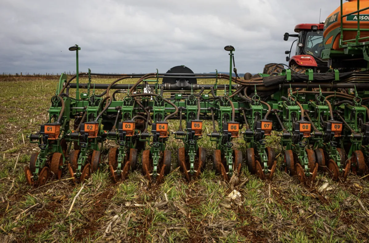 Fim do vazio sanitário em MT exige cautela com chuvas sob El Niño