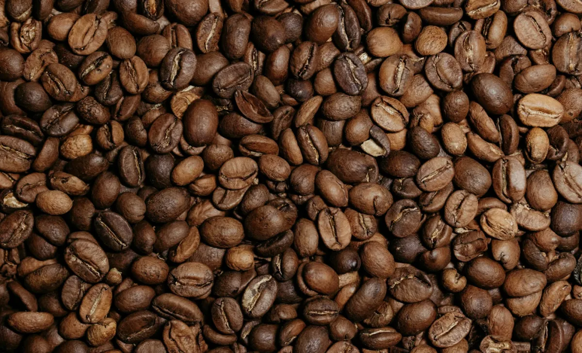 Safra de café bate recorde histórico com 67,6 milhões de sacas