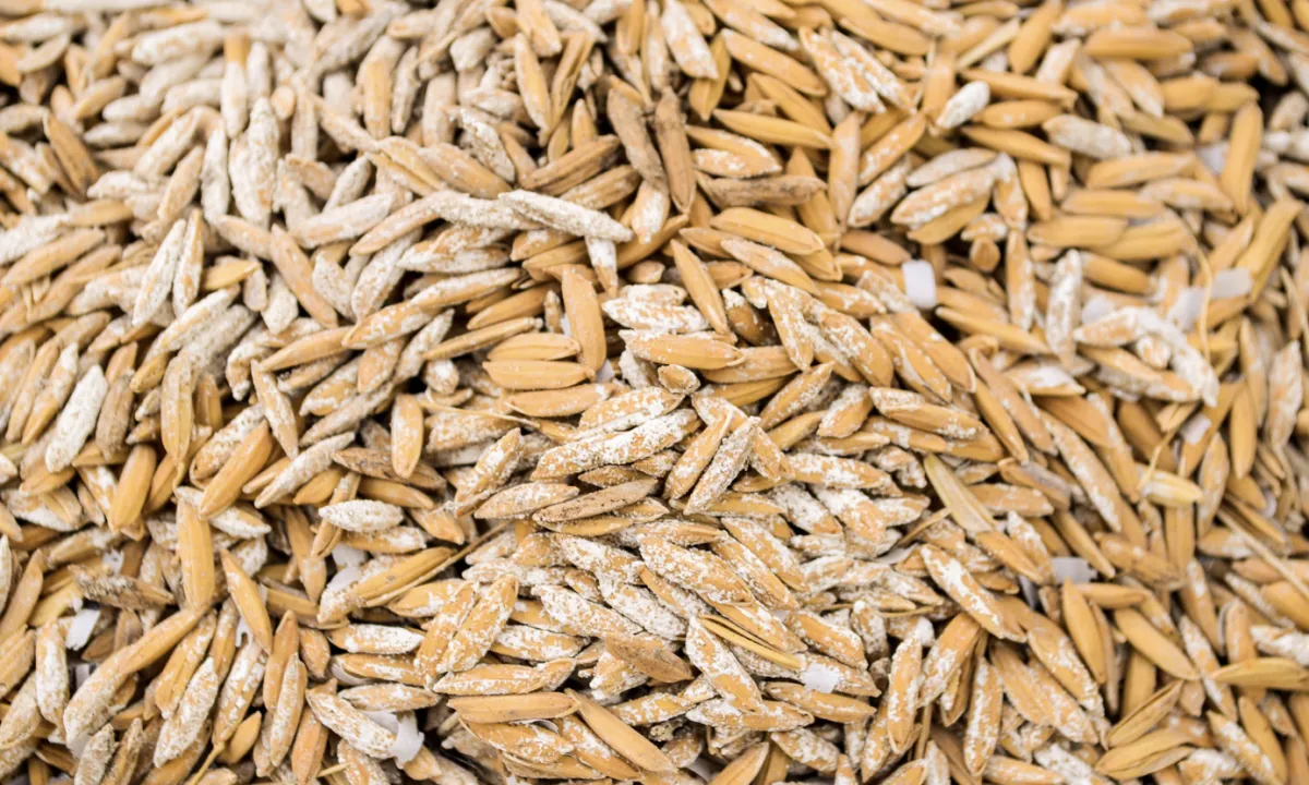 Governo destina até R$ 500 milhões para comprar arroz e recompor estoques