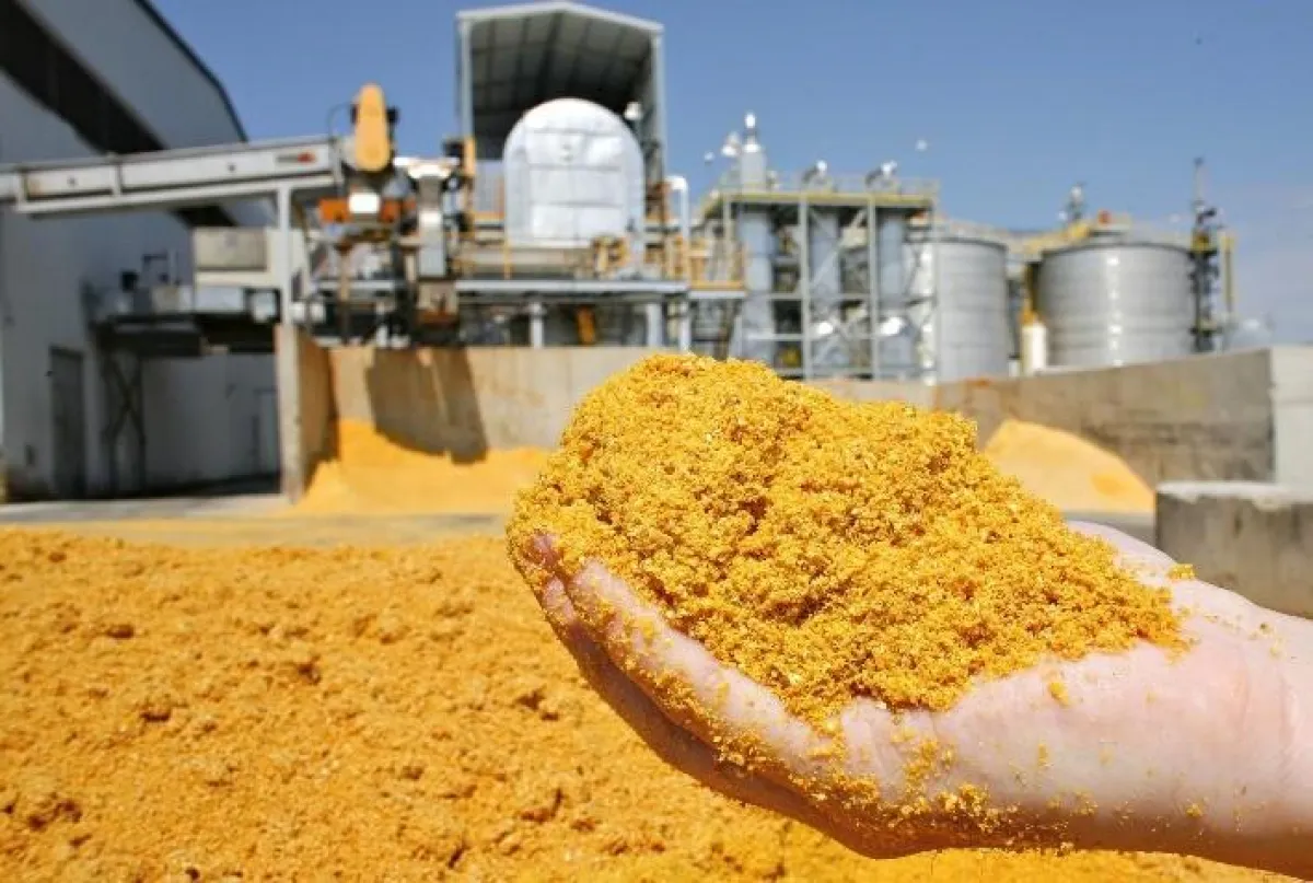 Produção de DDG deve superar 15 mi de toneladas no Brasil