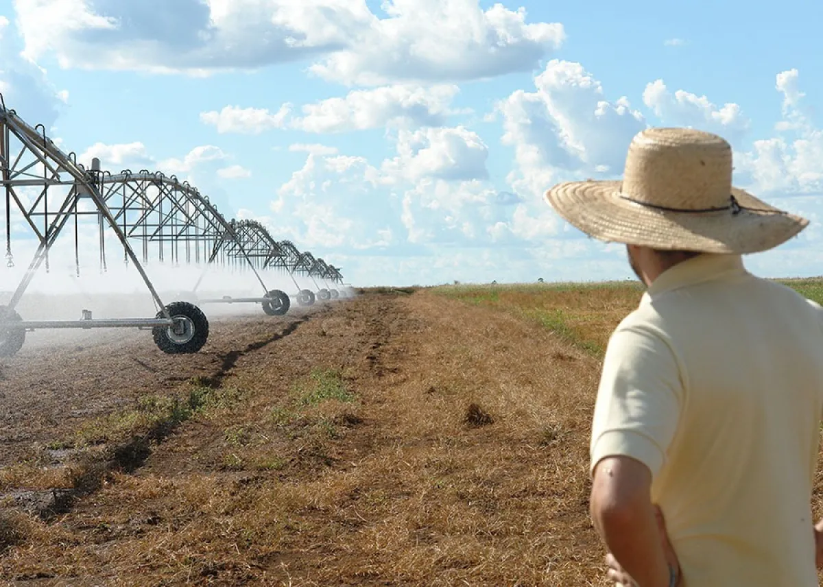 BB intensifica renegociação de dívidas do agro em Goiás