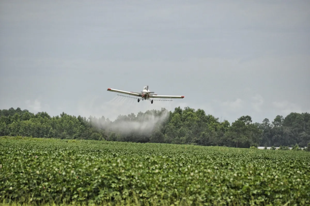 Entidades alertam que crédito restrito e custos ameaçam uso de fertilizantes