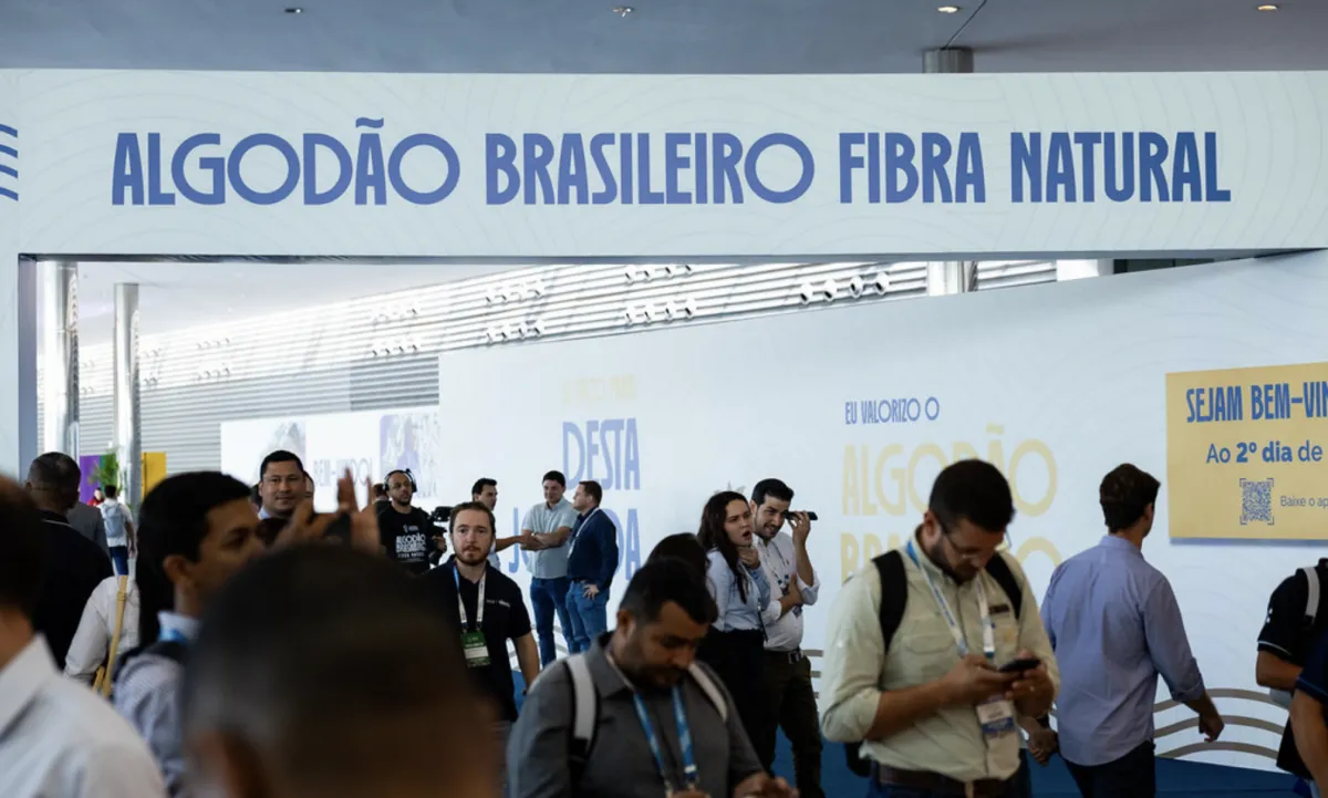 15º CBA debate expansão do algodão e eficiência agronômica