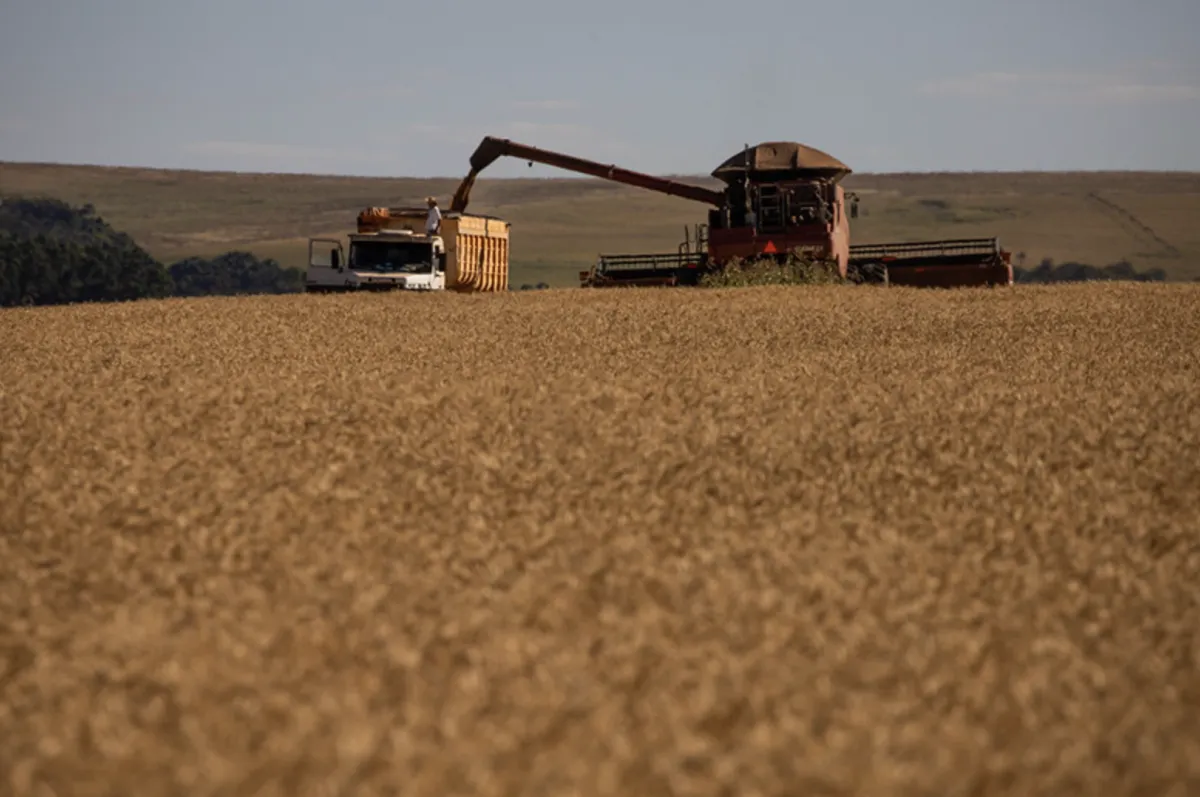 Incerteza no Seguro Rural de 2027 preocupa agro em meio ao El Niño