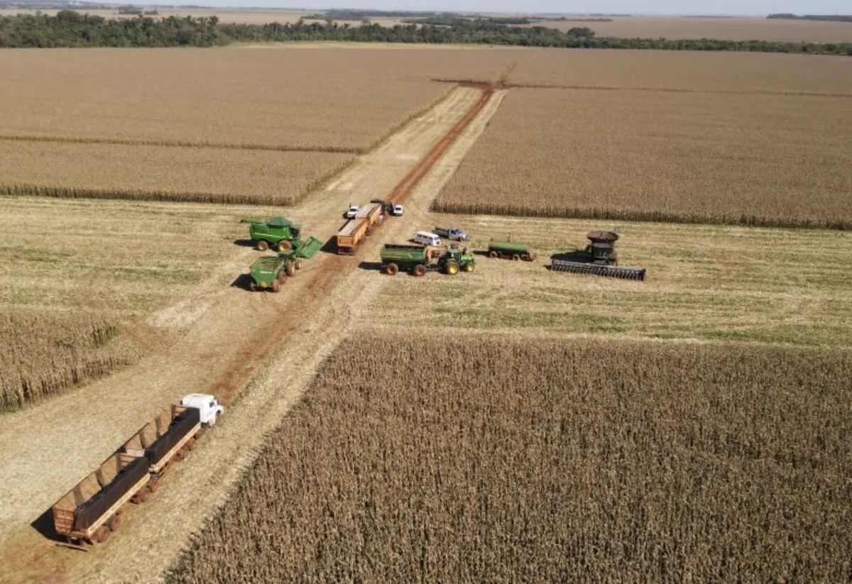 Projeto de novo seguro rural garante indenização rápida para o campo