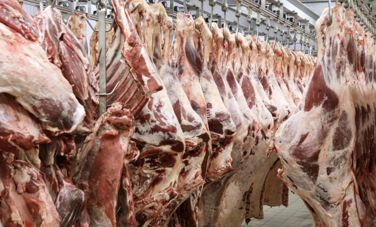 Entenda os impactos da suspensão da UE sobre as exportações de carnes do Brasil