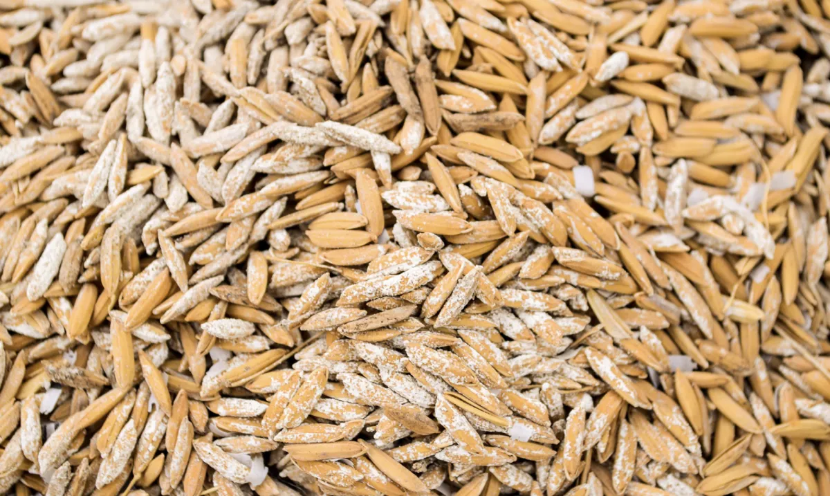 Exportação e compras públicas sustentam preço do arroz
