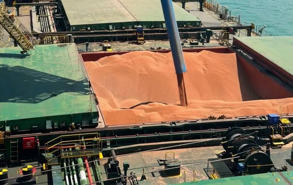 VLI leva sorgo aos trilhos e exporta para China e África