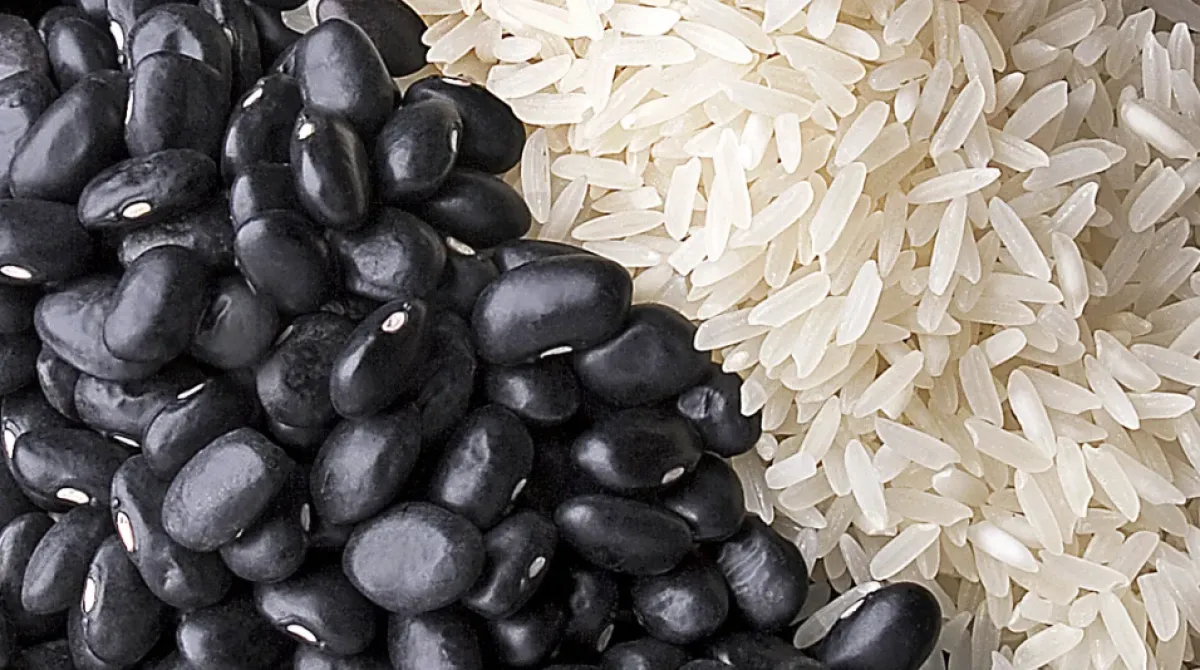 Arroz e feijão garantem nutrição e reduzem custos no prato
