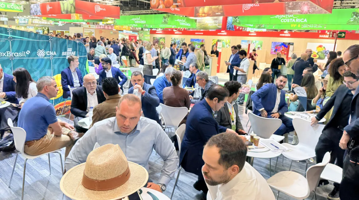 Fruticultura do Brasil amplia negócios na Fruit Attraction