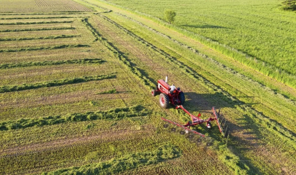 Estoques de títulos privados do agro somam R$ 597 bi