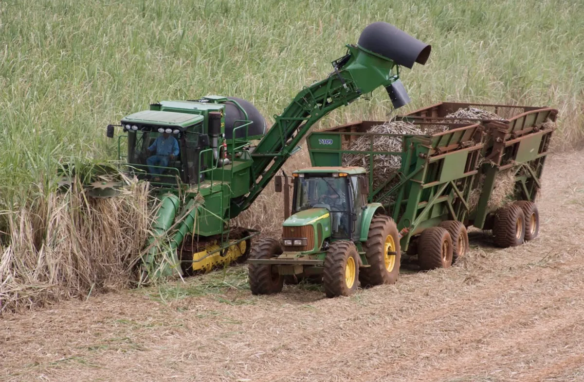 Governo de SP apoia renegociação de dívidas do agro contra perdas