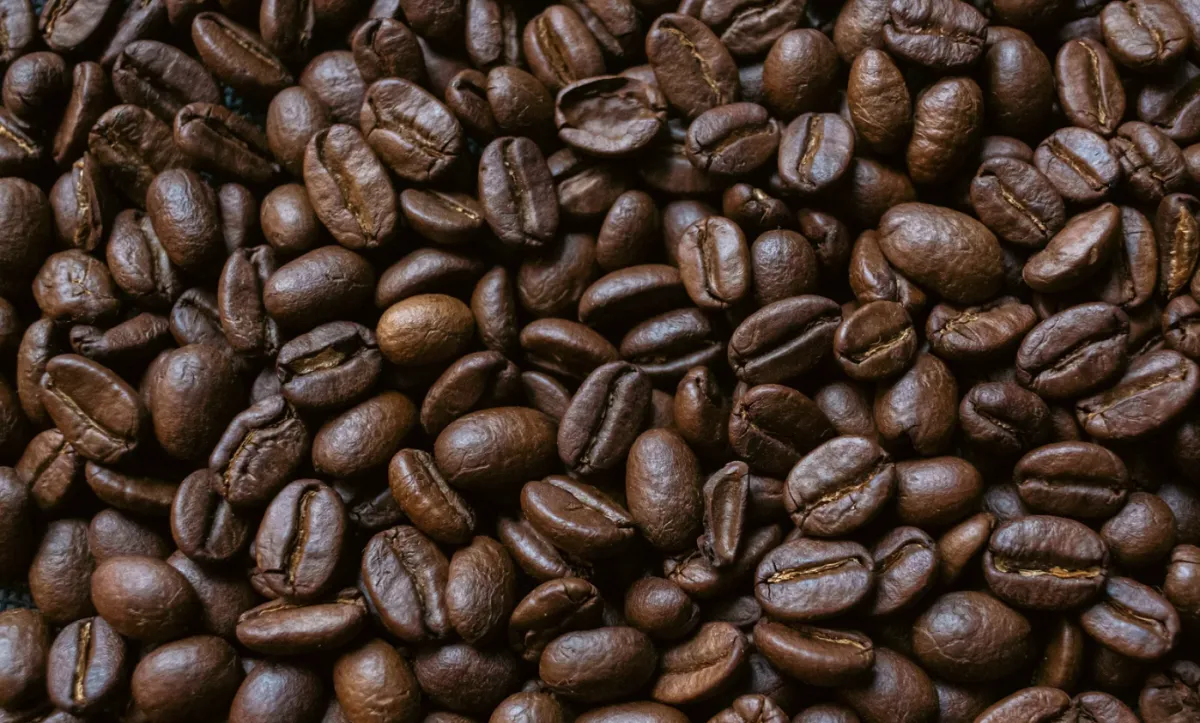 Exportação de café sobe 3% no mês com alívio tarifário nos EUA