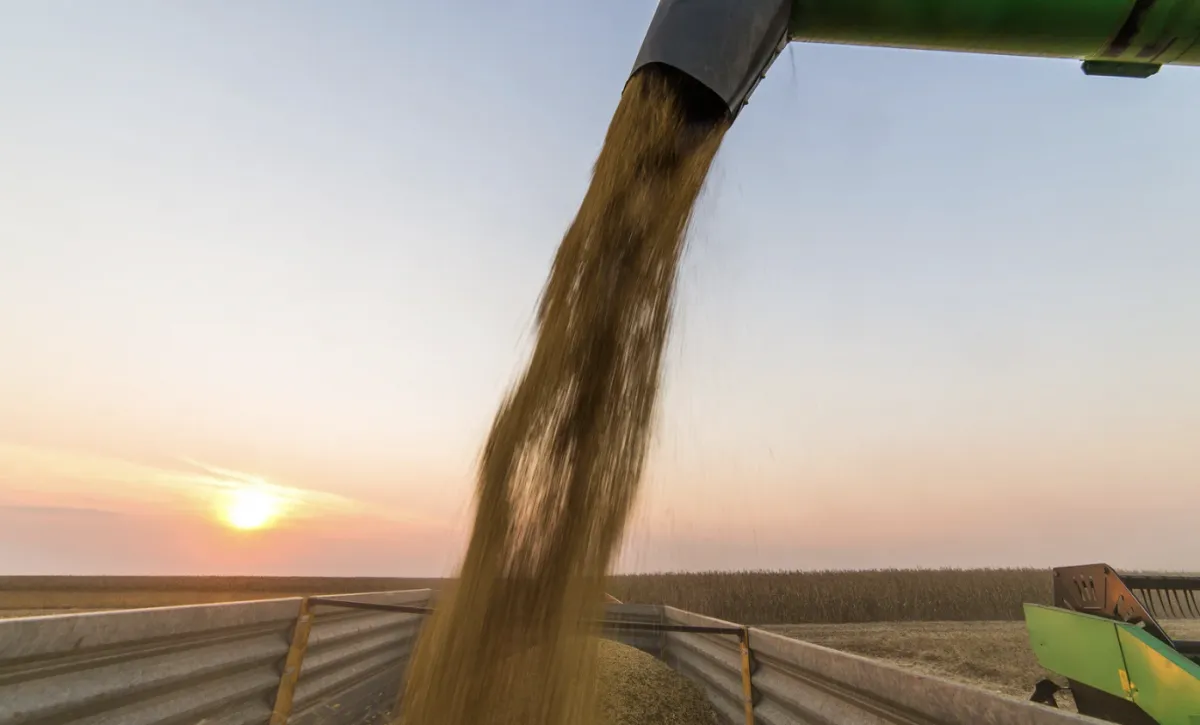 Agropecuária de SP lidera setores econômicos no 2º trimestre