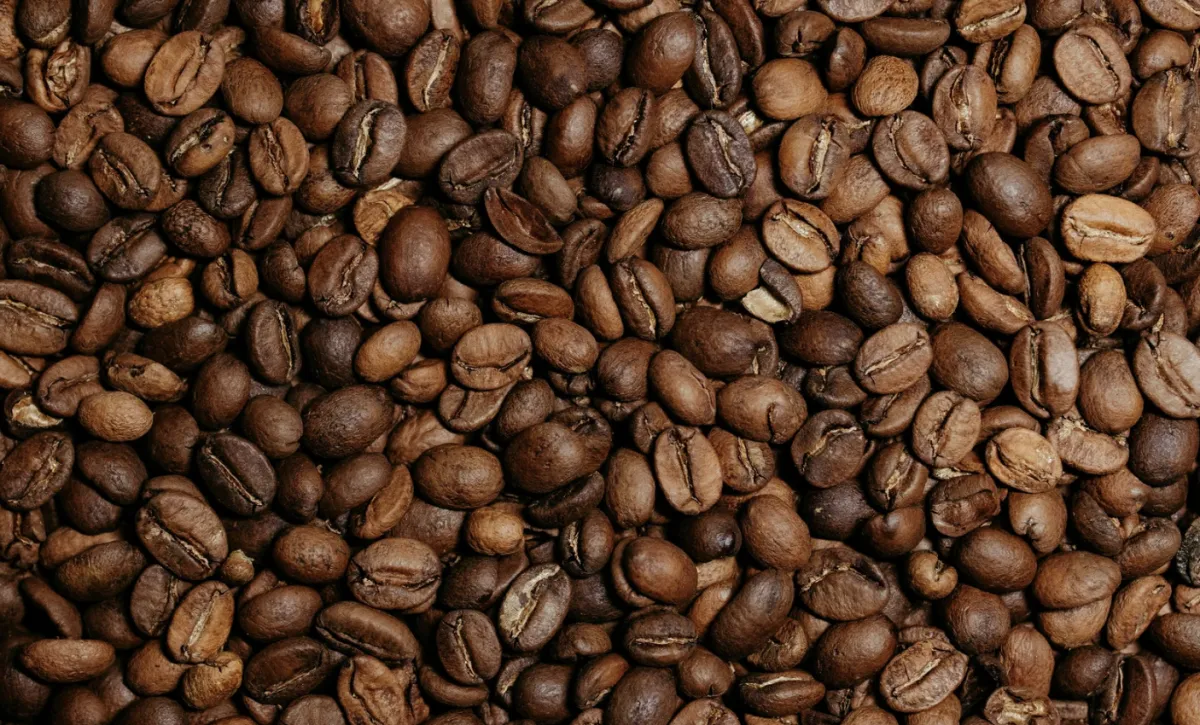Poder de compra frente a fertilizantes cai na cafeicultura