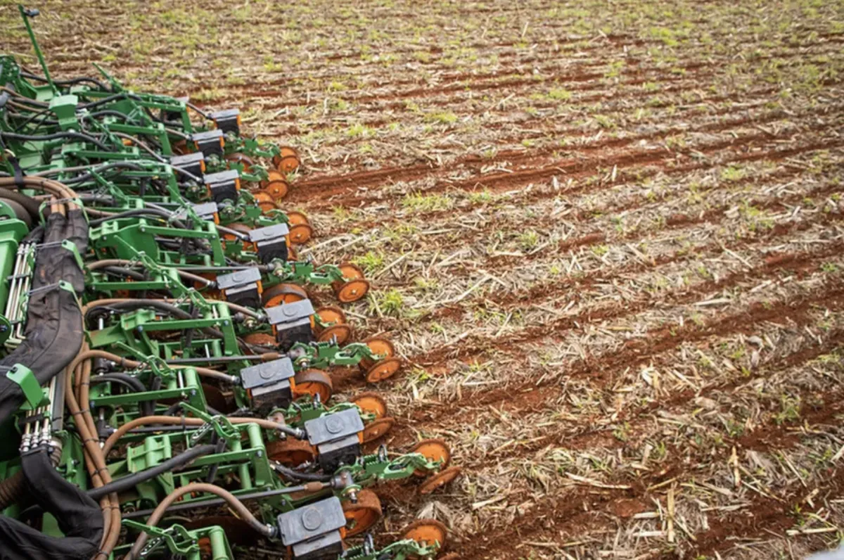 Plantio da soja atinge 89% da área e entra na reta final em MT