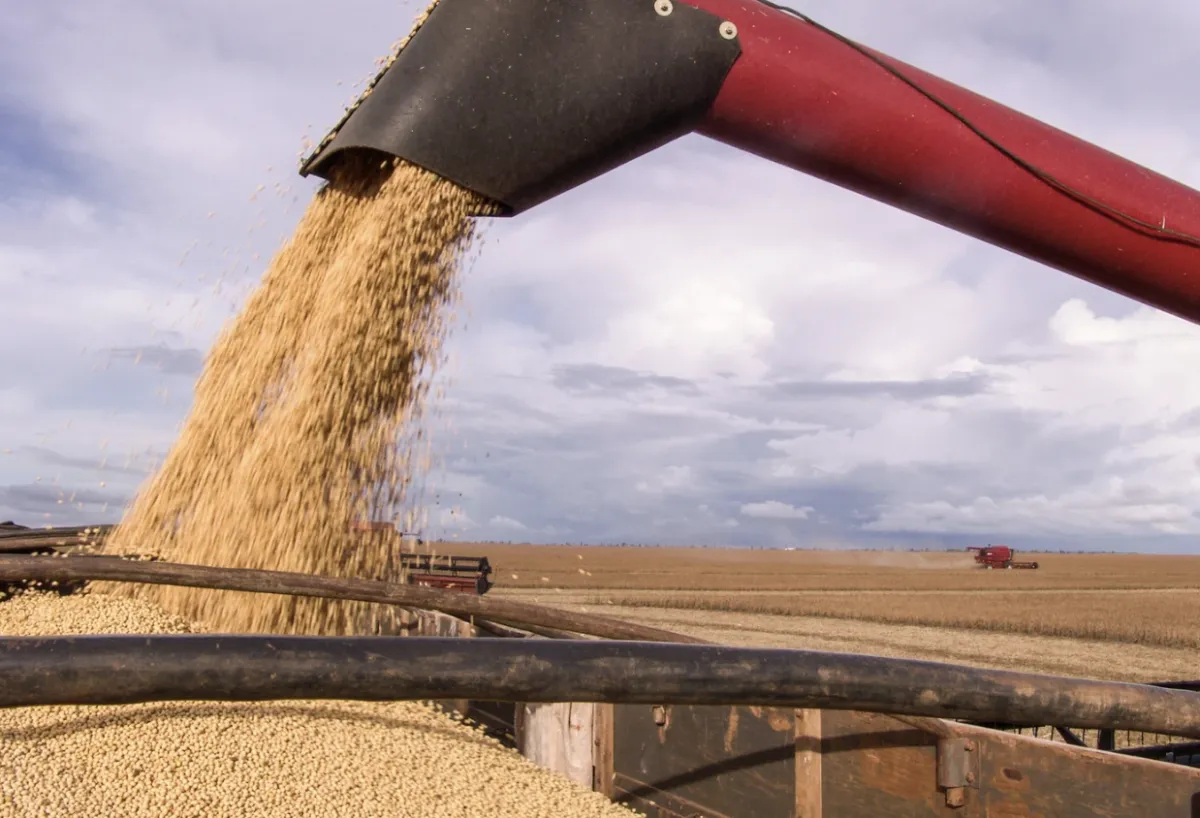 Crédito rural em Goiás recua 42% no início da nova safra