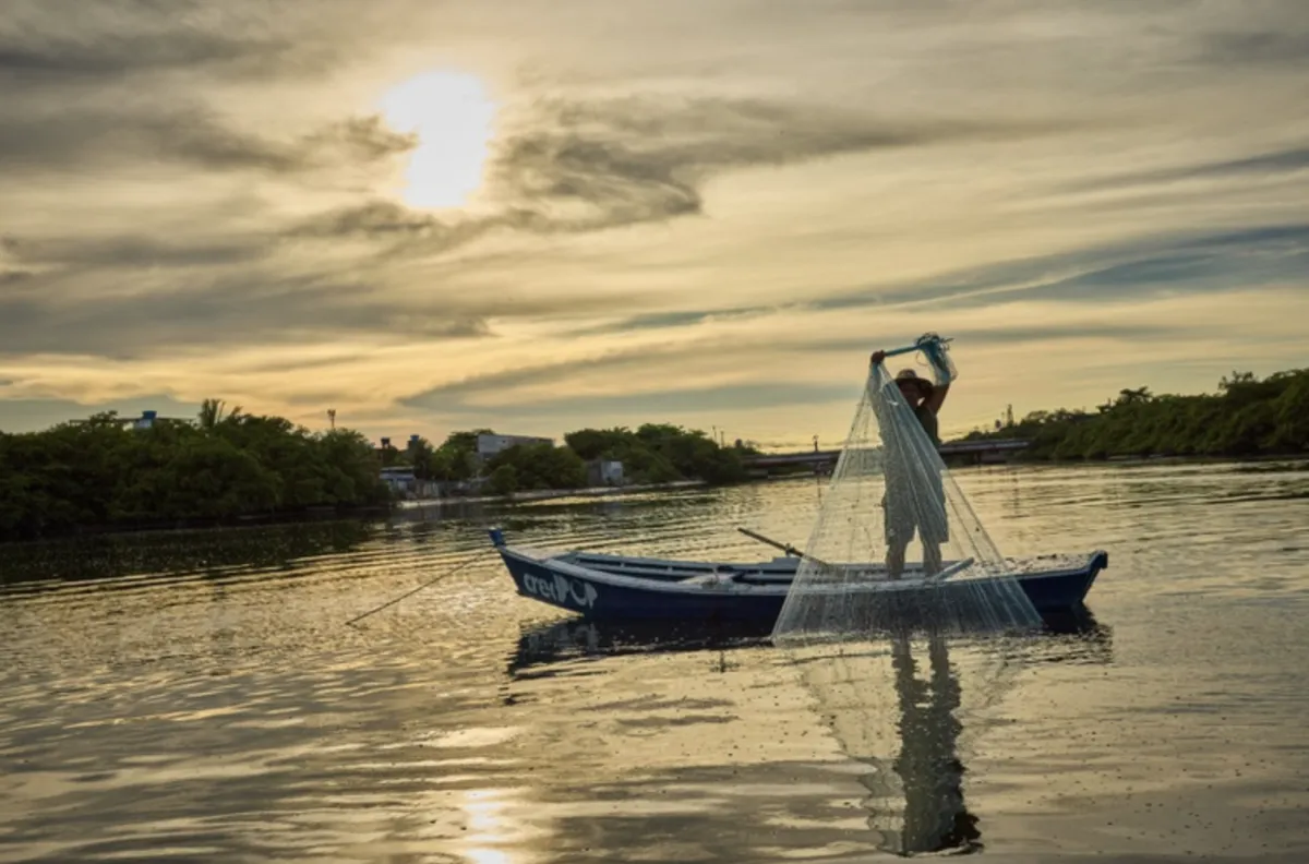 Pescadores têm até 31 de dezembro para enviar o REAP