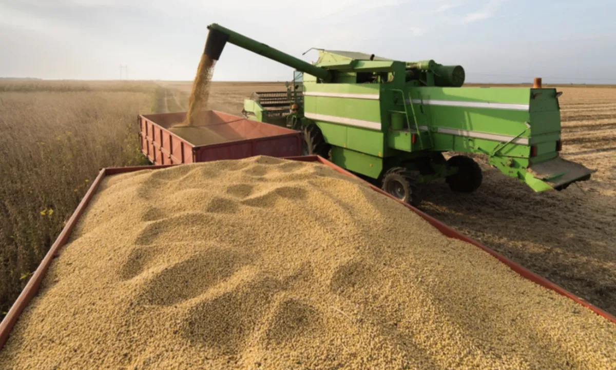 VBP da agropecuária alcança R$ 1,44 trilhão em setembro