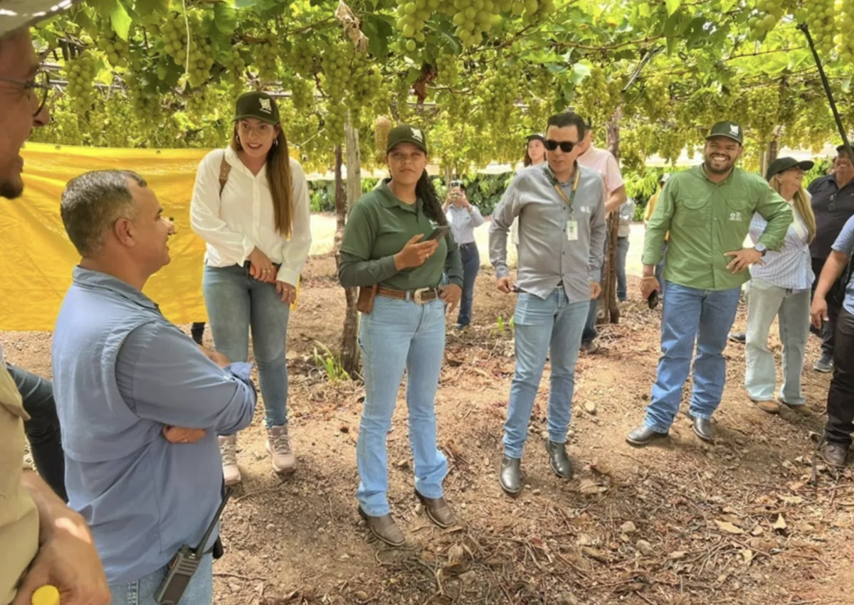 CNA debate exportação e qualificação da fruticultura na BA