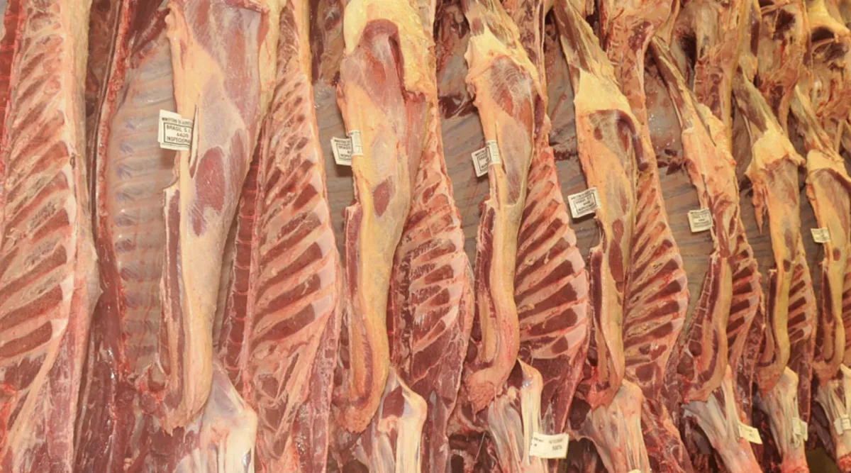 Sobretaxa da China na carne exige novos mercados para o agro
