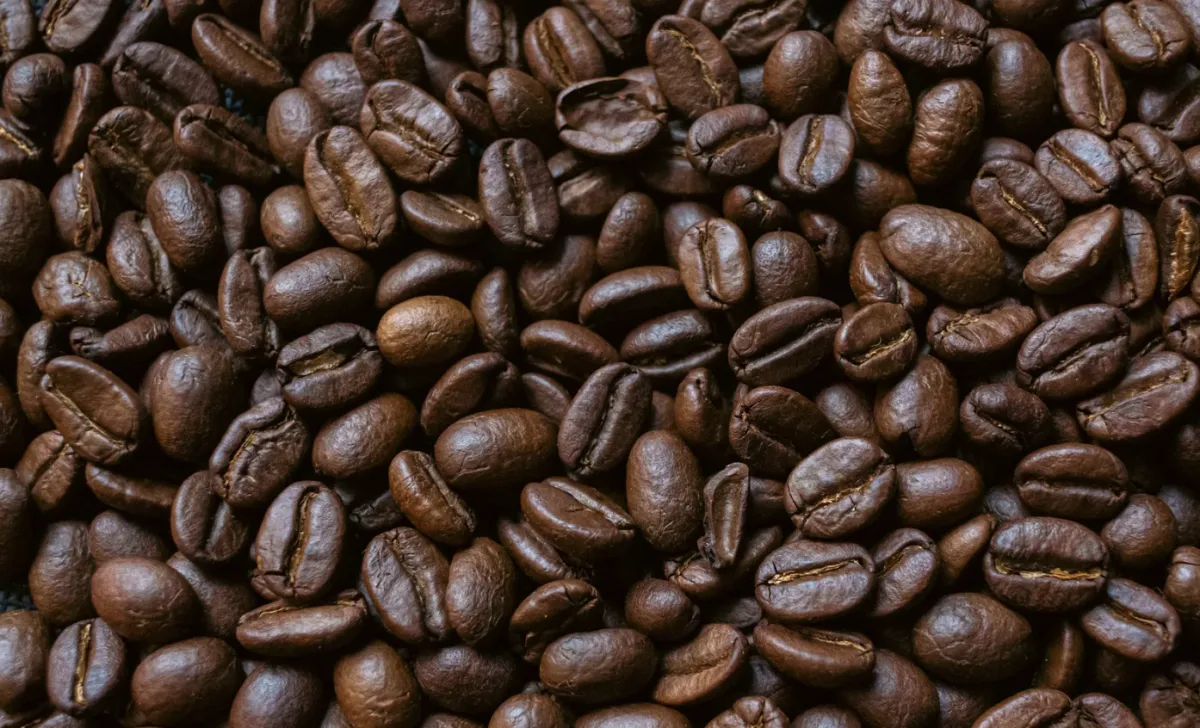 Soja avança no PR e café fica 19% mais barato na prateleira