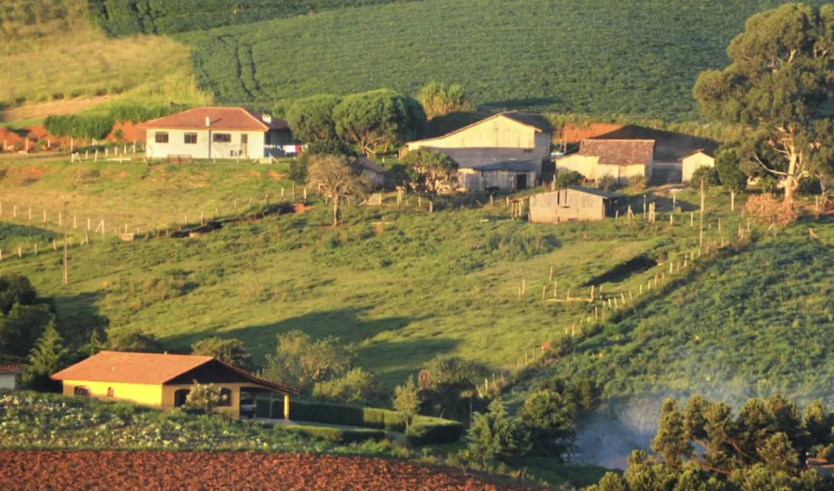 Pressão do agro e indústria trava PL dos cartórios na Alep