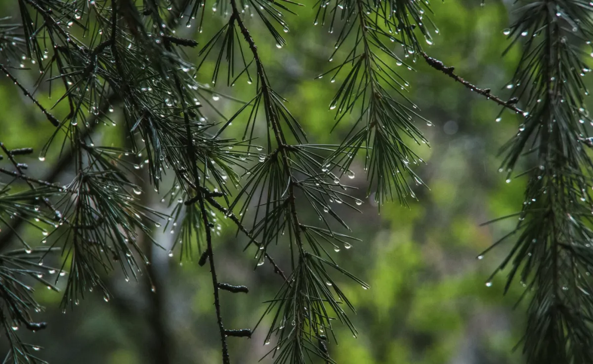 Fim de semana terá temporais no Sul, Sudeste e Centro-Oeste
