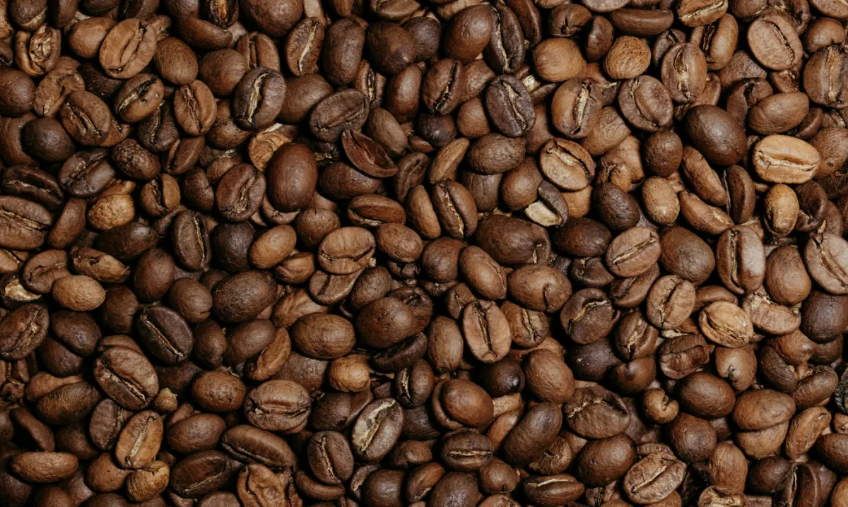 Safra de café em SP deve subir 30,6% e somar 6,2 mi de sacas