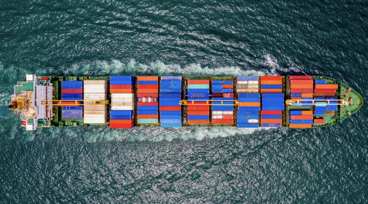 Lei antidesmatamento da Europa desafia exportador brasileiro