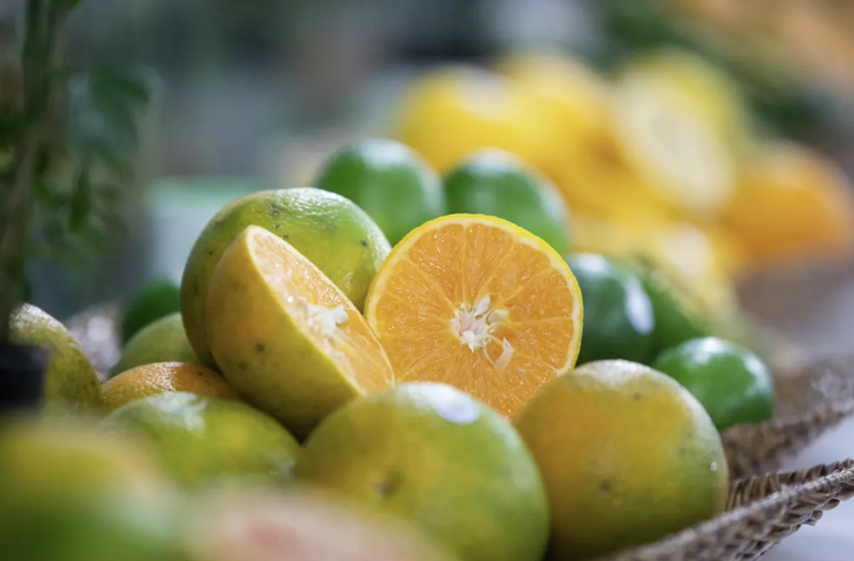 Laranja em SP movimenta bilhões com ciência e exportação