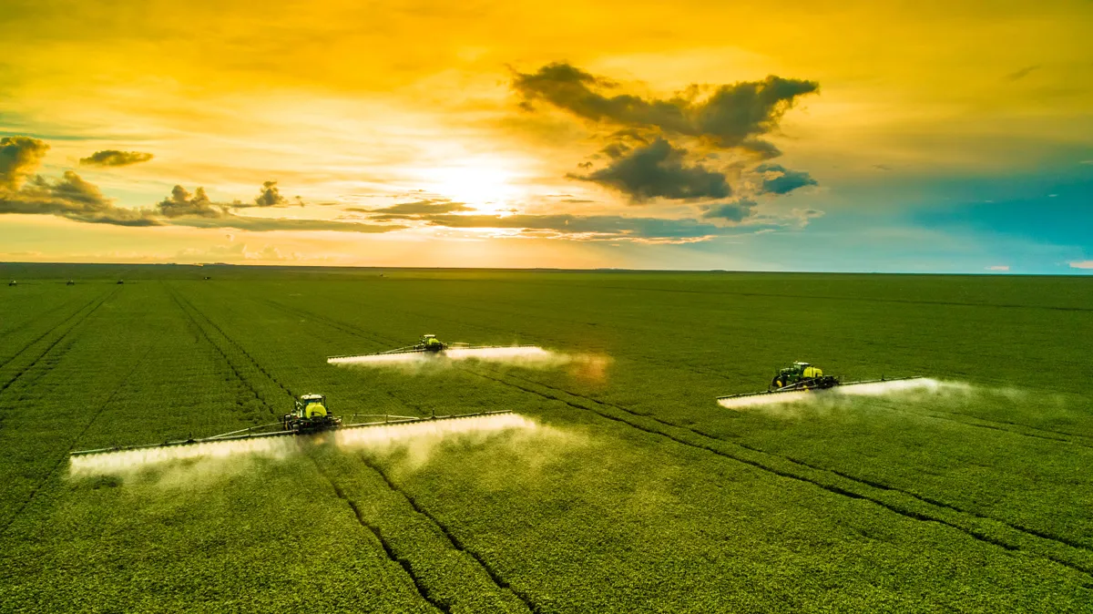Safra cresce em área mas produtividade desafia o produtor