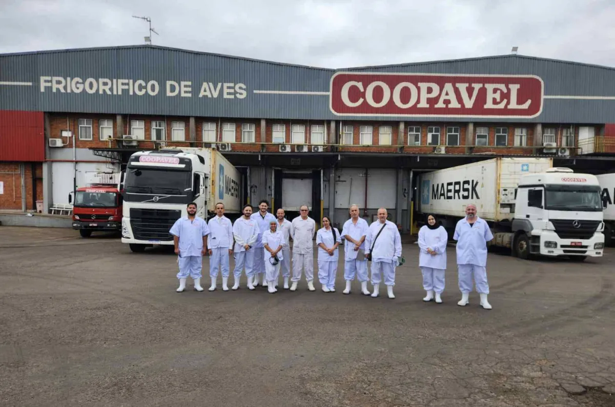 Coopavel é habilitada como fornecedora de frango ao Iraque