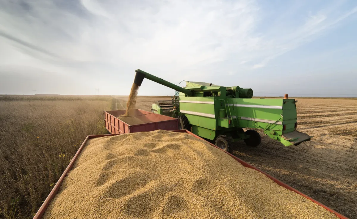 Brasil avança para se tornar maior exportador agrícola 