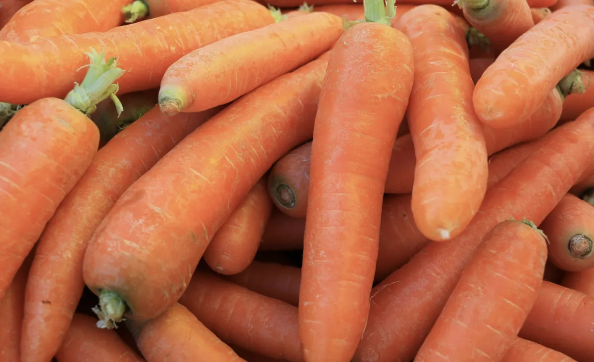 Preço da cenoura cai 16% enquanto tomate e batata disparam no país