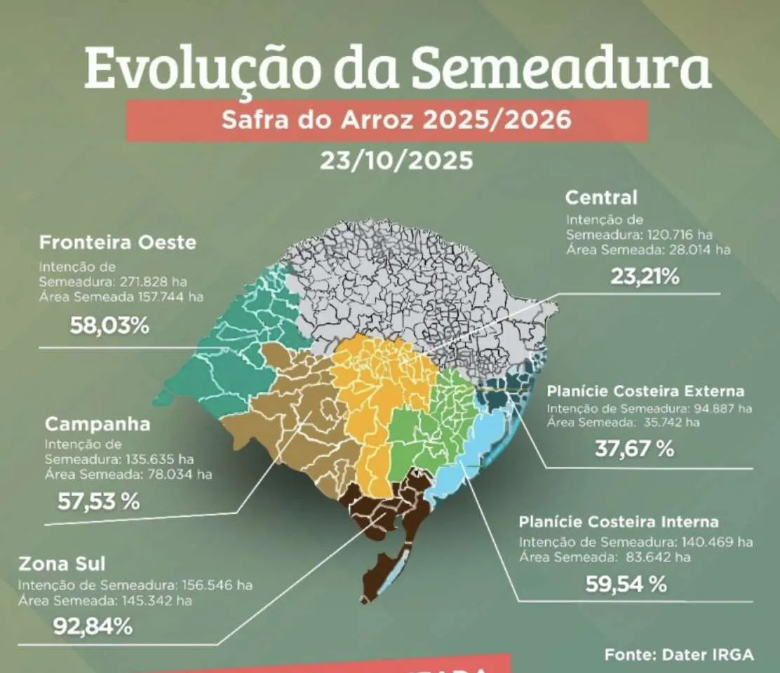 Semeadura do arroz no RS já supera 50% da área prevista