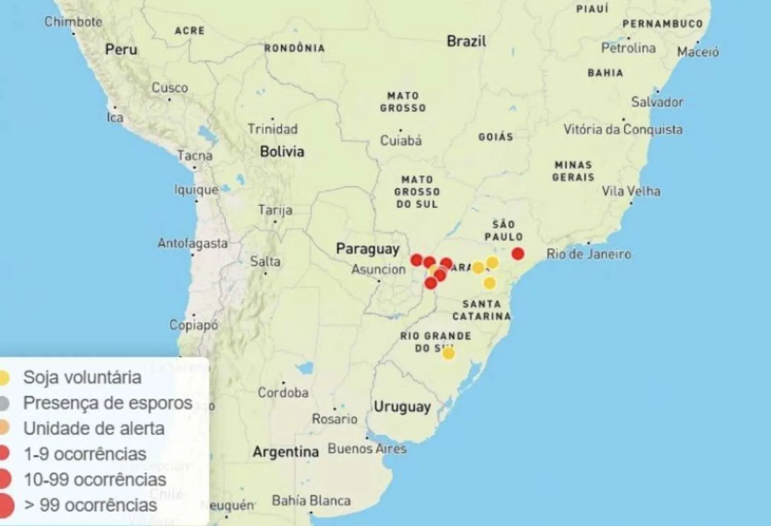 Primeiro foco de ferrugem asiática é confirmado em MS