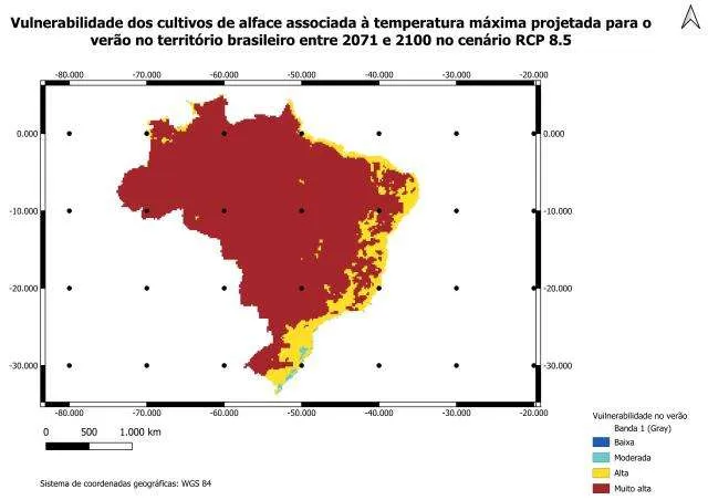 Embrapa mapeia risco climático para produção de alface no Brasil