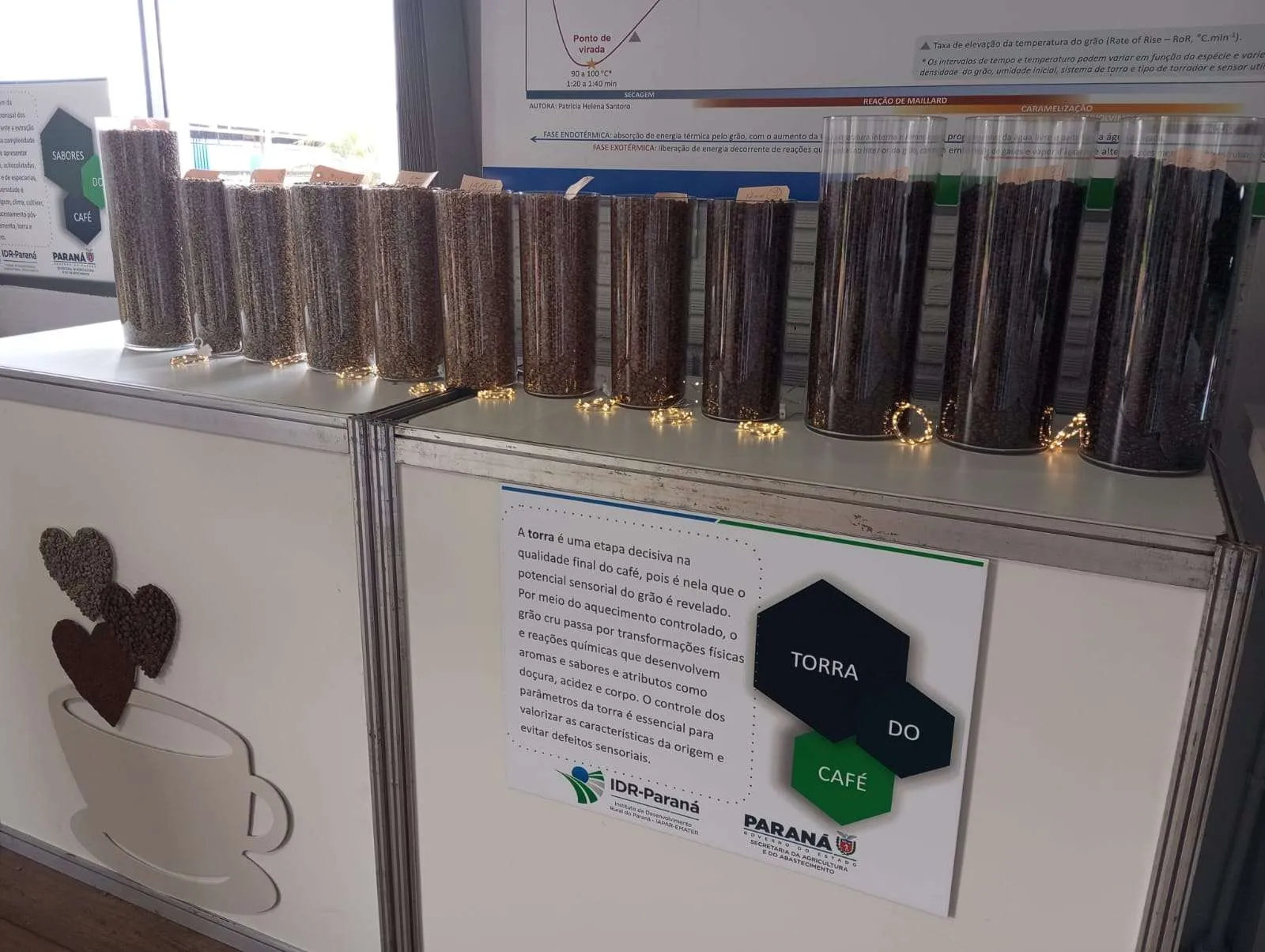 No Show Rural, IDR-Paraná apresenta experiência interativa sobre o café do Paraná